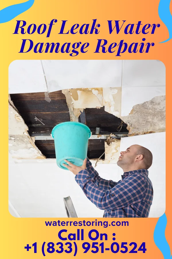 Roof Leak Water Damage Repair in North Bend, WA